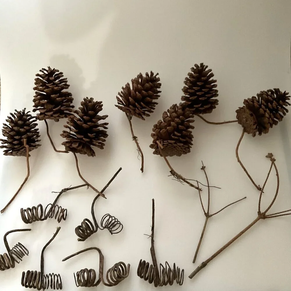 DIY PINE CONES AND CURLY TWIGS 15 COUNT